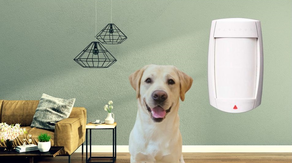 Paradox - kisállattűrő mozgásérzékelő